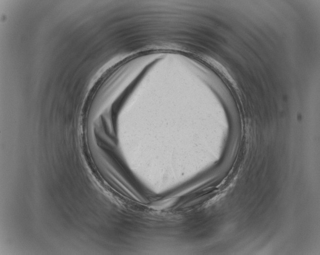 X0000080121133200701051348