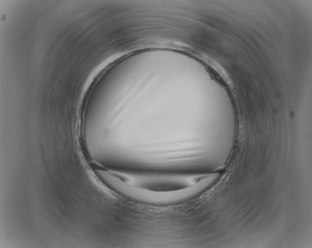 X0000080121136200701051348