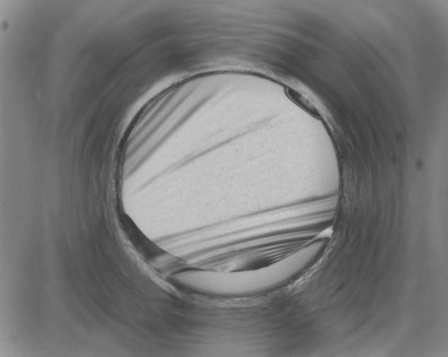 X0000080121142200701051348