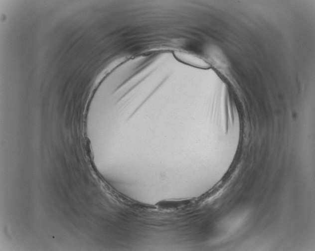 X0000080121145200701051348