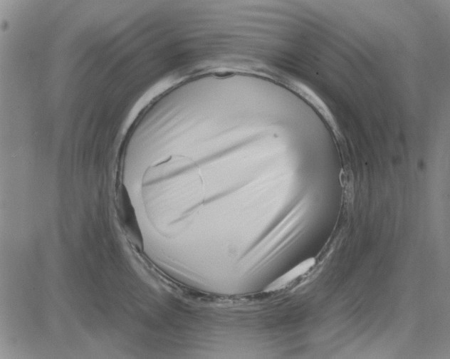 X0000080121146200701051348