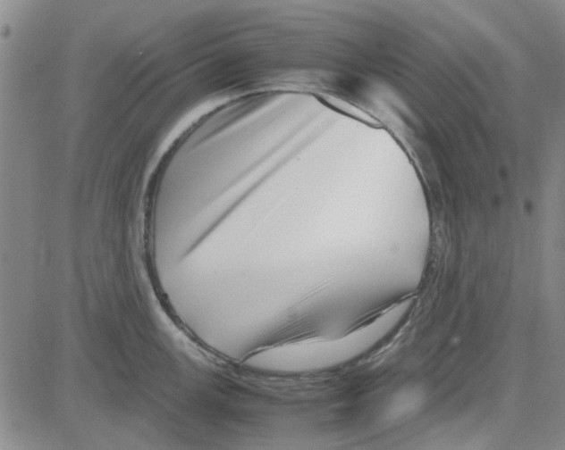 X0000080121147200701051348