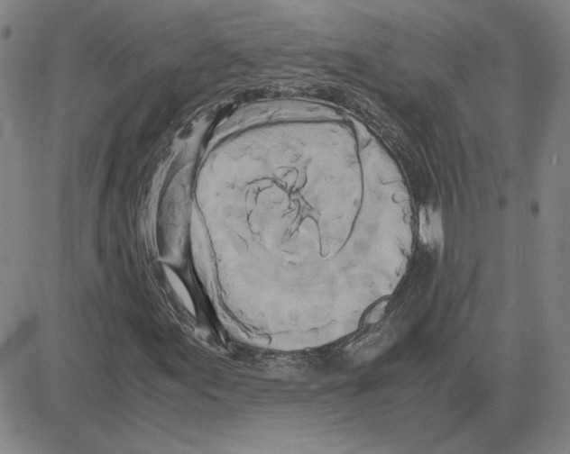 X0000080121155200701051347