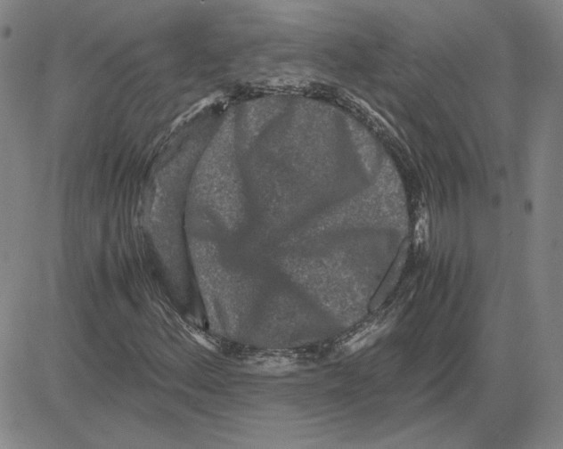 X0000080121156200701051347