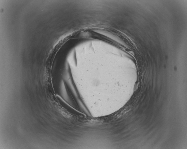 X0000080121160200701051347