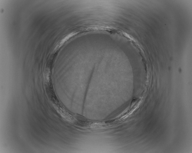X0000080121161200701051347