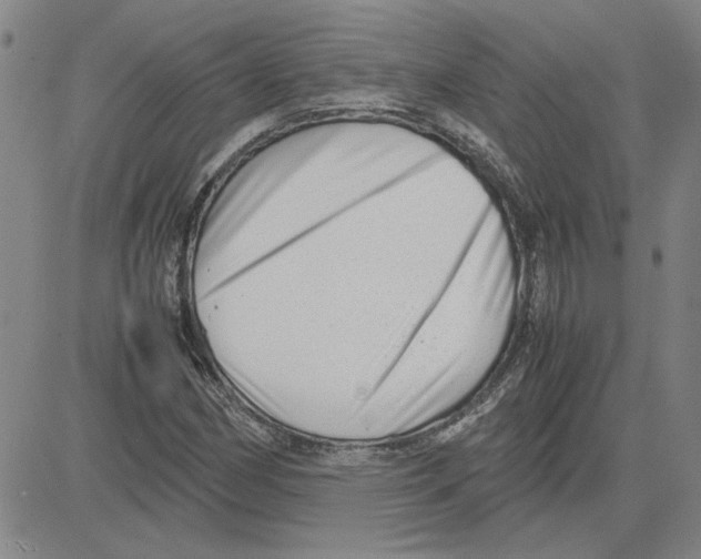 X0000080121162200701051347