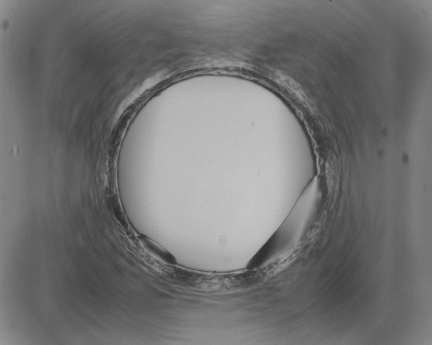 X0000080121165200701051347