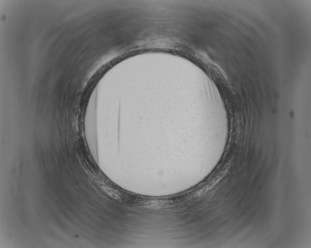 X0000080121166200701051347