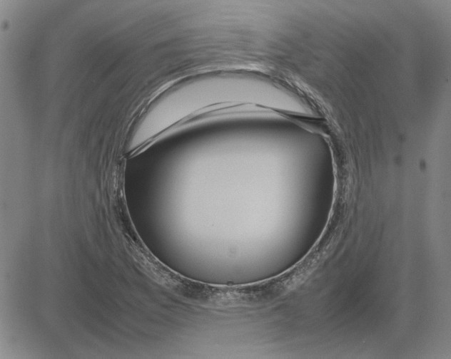 X0000080121169200701051347