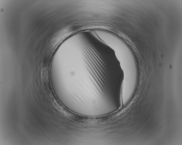 X0000080121177200701051347