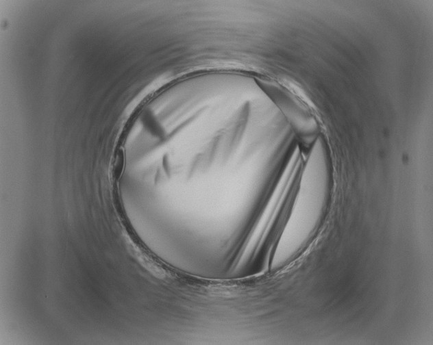 X0000080121181200701051347