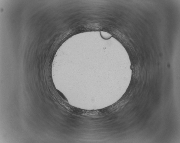 X0000080121201200701051346