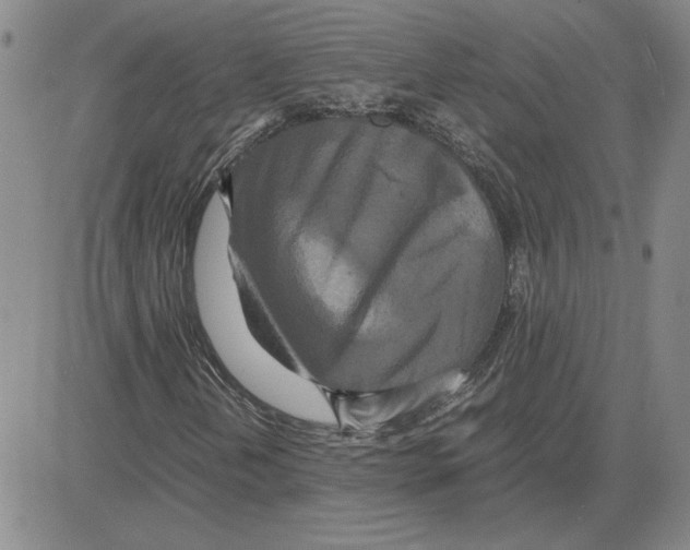 X0000080121202200701051346