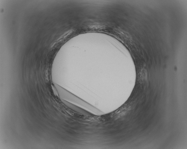X0000080121205200701051346