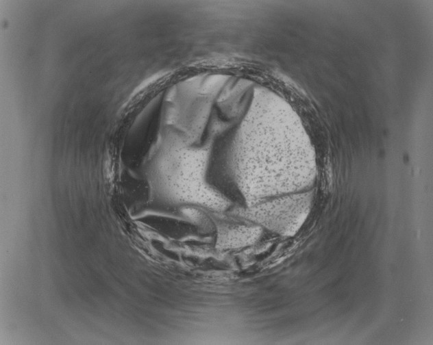 X0000080121206200701051346