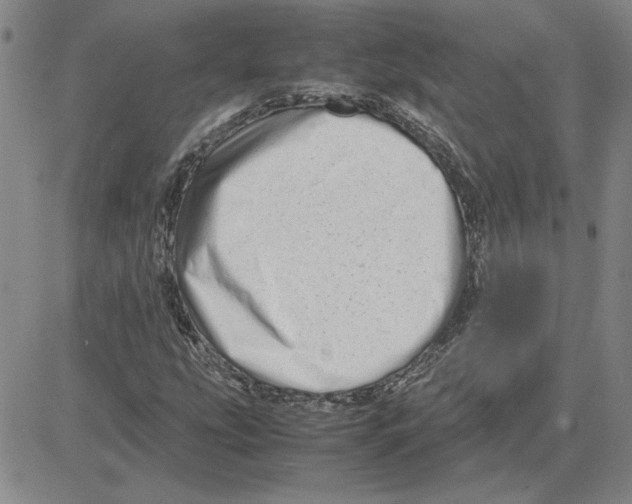 X0000080121207200701051346