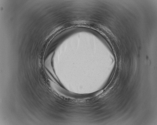 X0000080121209200701051346