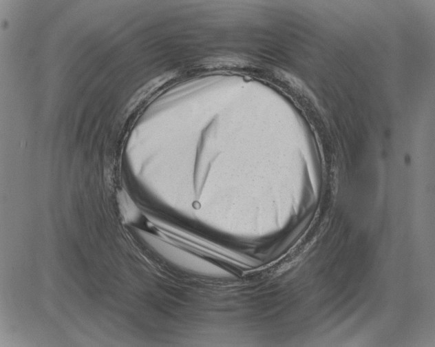 X0000080121217200701051346