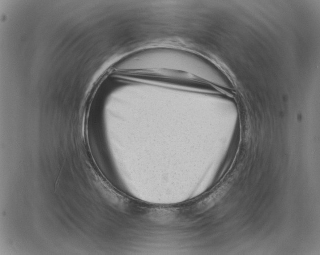 X0000080121224200701051346