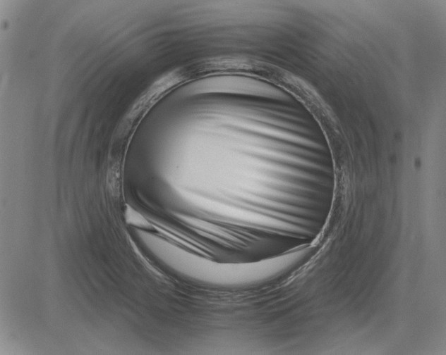 X0000080121225200701051346
