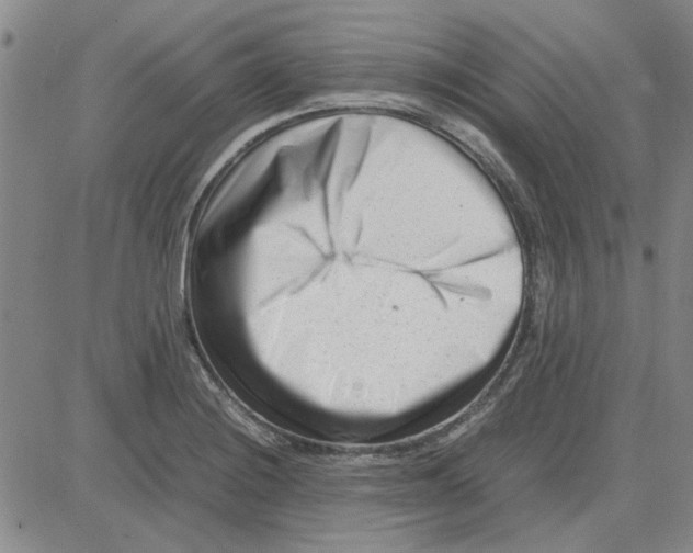 X0000080121228200701051346
