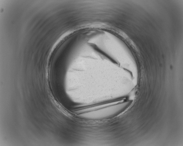 X0000080121232200701051346