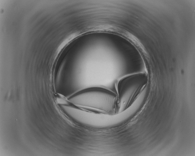 X0000080121234200701051346