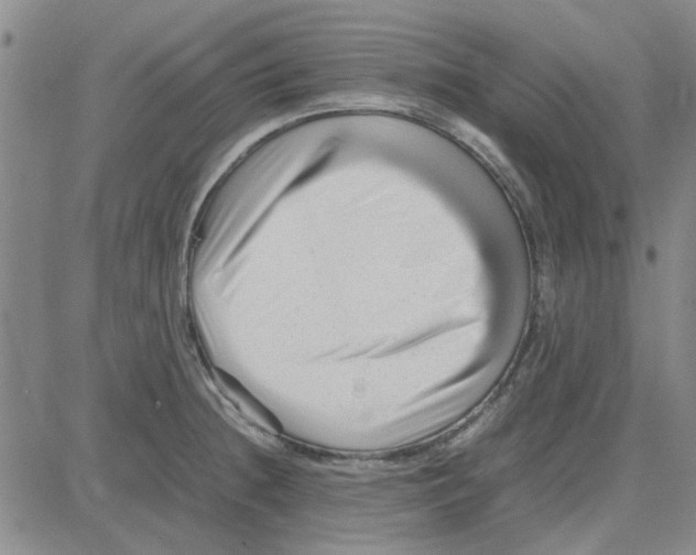 X0000080121236200701051346