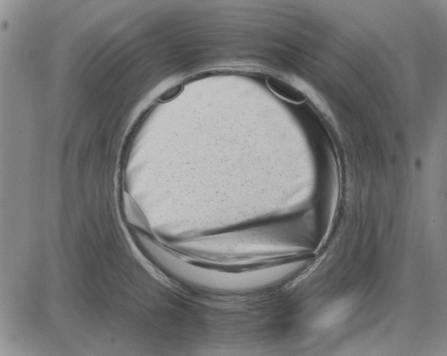 X0000080121237200701051346