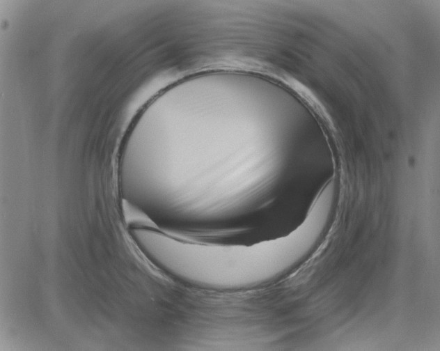 X0000080121238200701051346