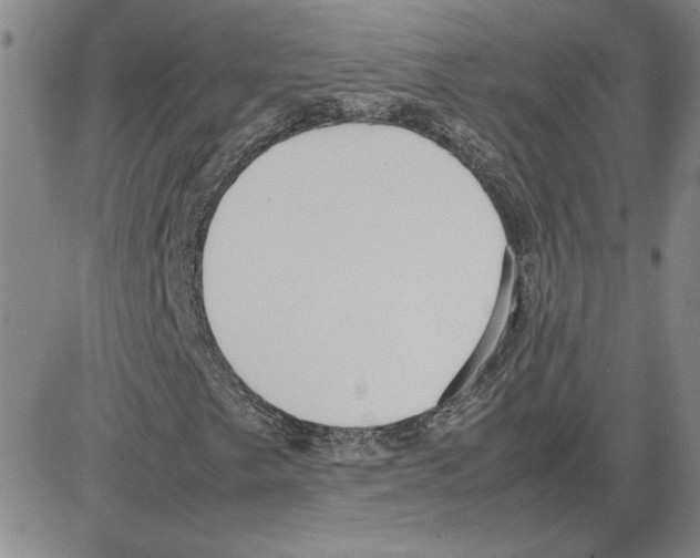 X0000080121249200701051346