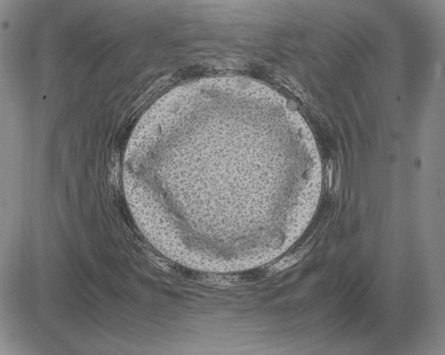 X0000080121251200701051346