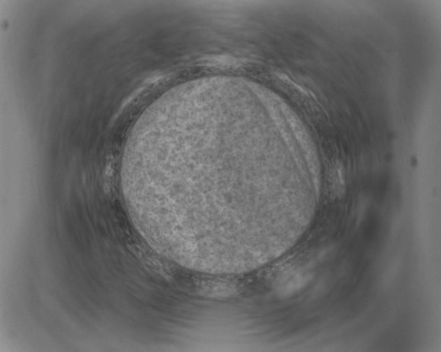 X0000080121254200701051346