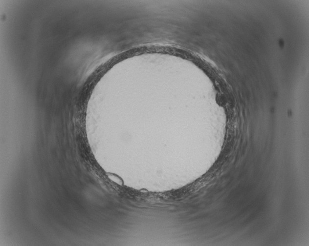 X0000080121255200701051346