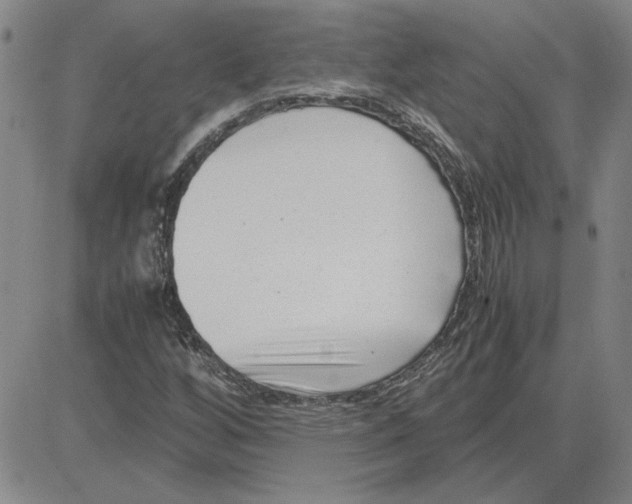 X0000080121256200701051346