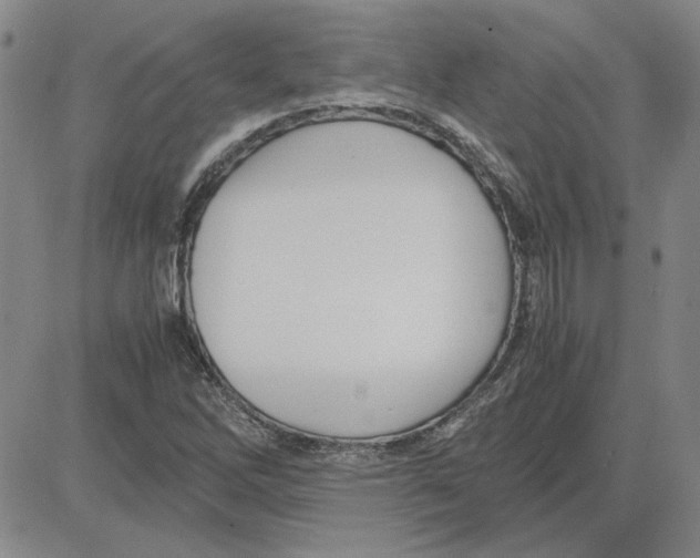 X0000080121262200701051345