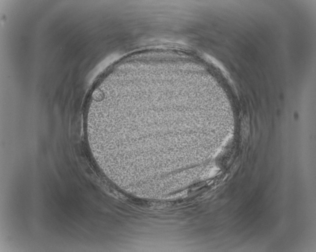 X0000080121267200701051345