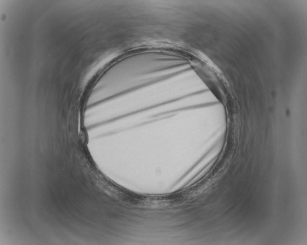 X0000080121269200701051345