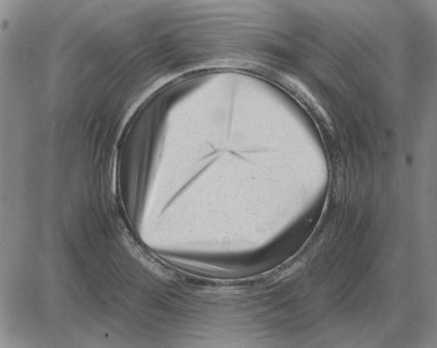 X0000080121276200701051345