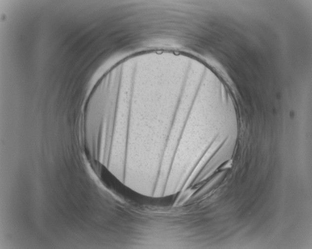 X0000080121295200701051345