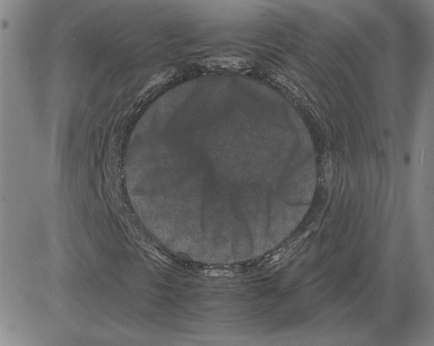 X0000080121297200701051344