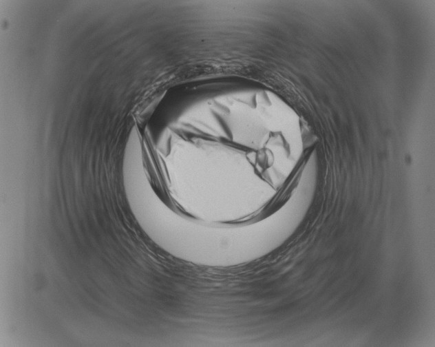 X0000080121298200701051344
