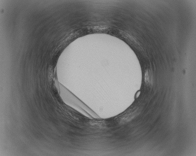 X0000080121299200701051344