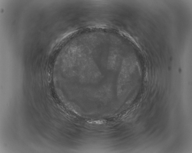 X0000080121303200701051344