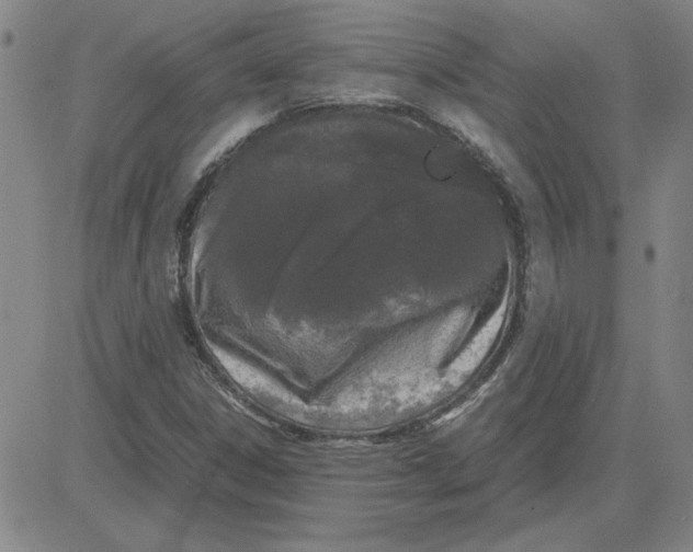 X0000080121306200701051344