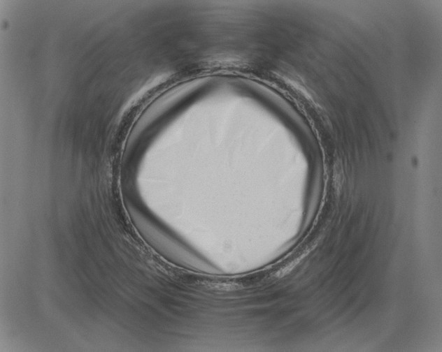 X0000080121309200701051344