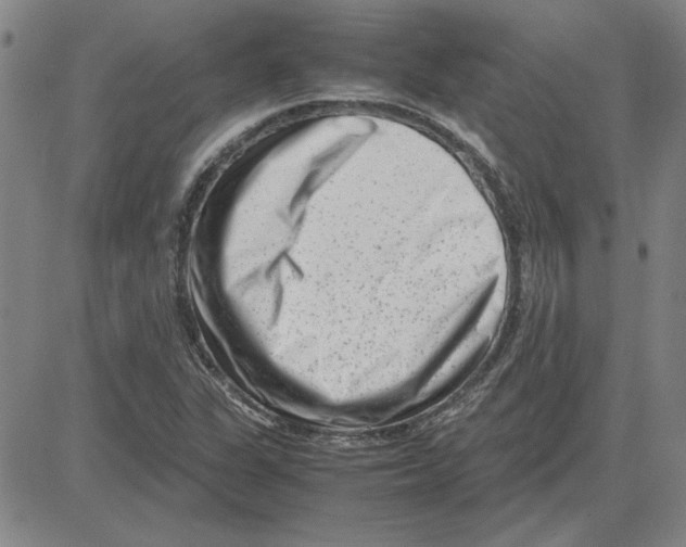 X0000080121311200701051344