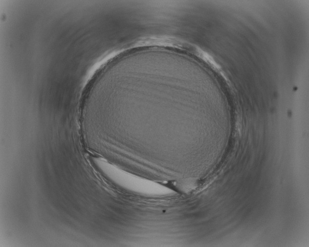 X0000080121312200701051344