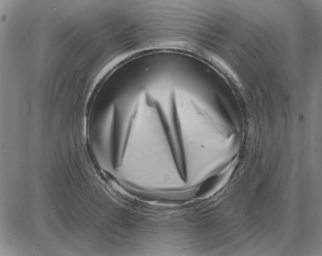 X0000080121324200701051345